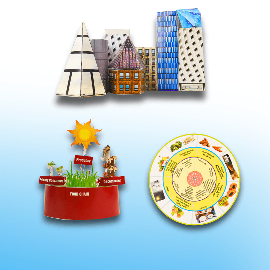 My STEM Zone Grade V (9 to 11 Years) image 3