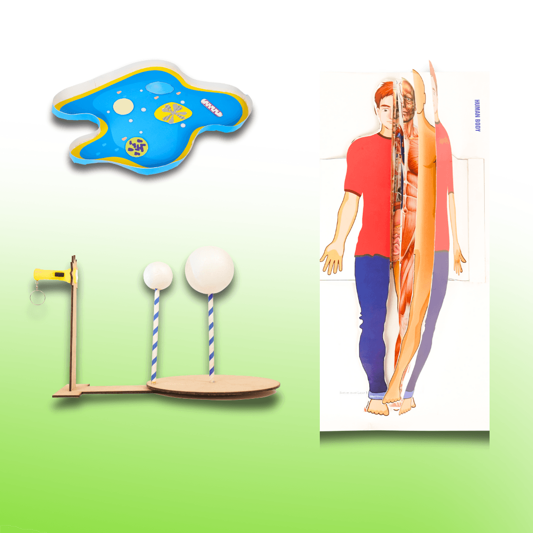 My STEM Zone – Grade VII (12 to 14 Years) image 3